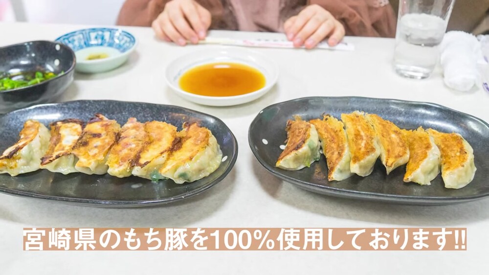 北京の焼き餃子の食べくらべ（宮崎県産もち豚100%）